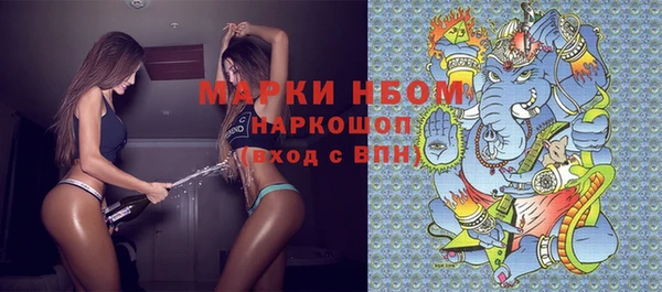 соль ск Алексин