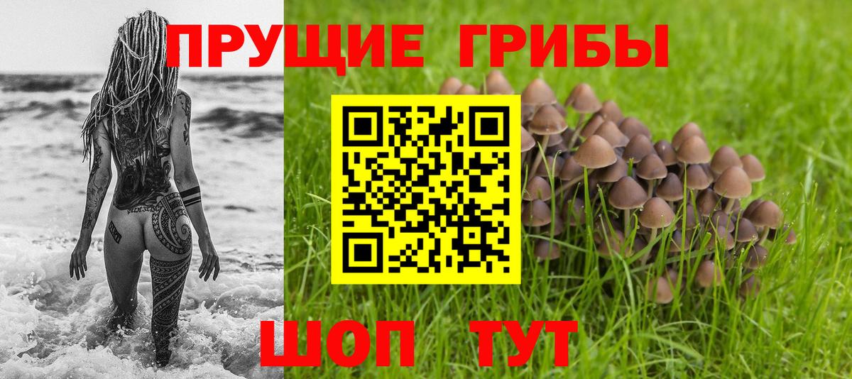 Галлюциногенные грибы Psilocybe Зеленокумск