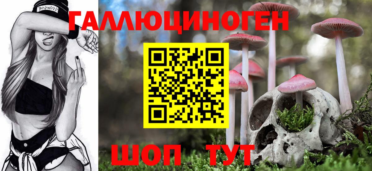 Псилоцибиновые грибы Psilocybe  Вход с VPN  Зеленокумск  Псилоцибиновые грибы Cubensis 